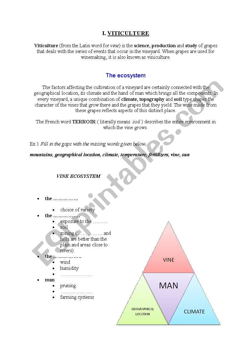 viticulture worksheet