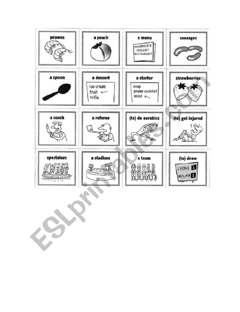 Vocabulary worksheet
