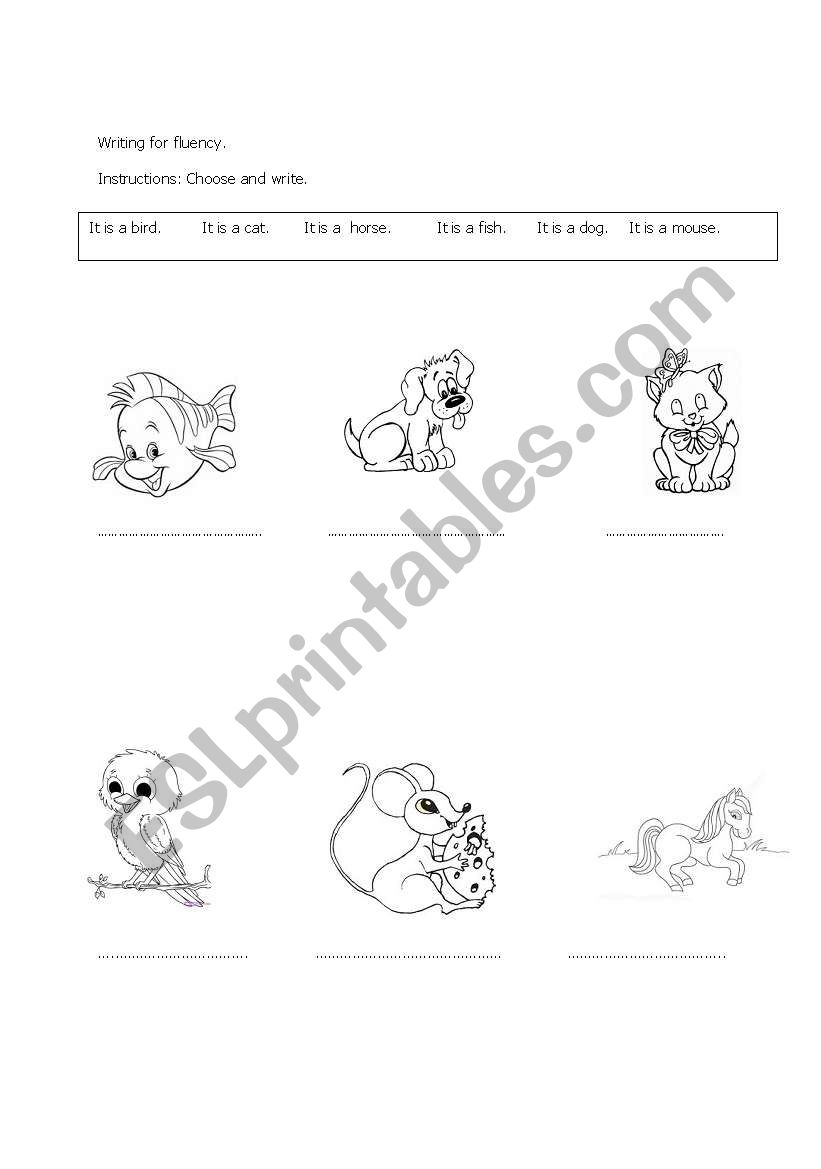 pets worksheet