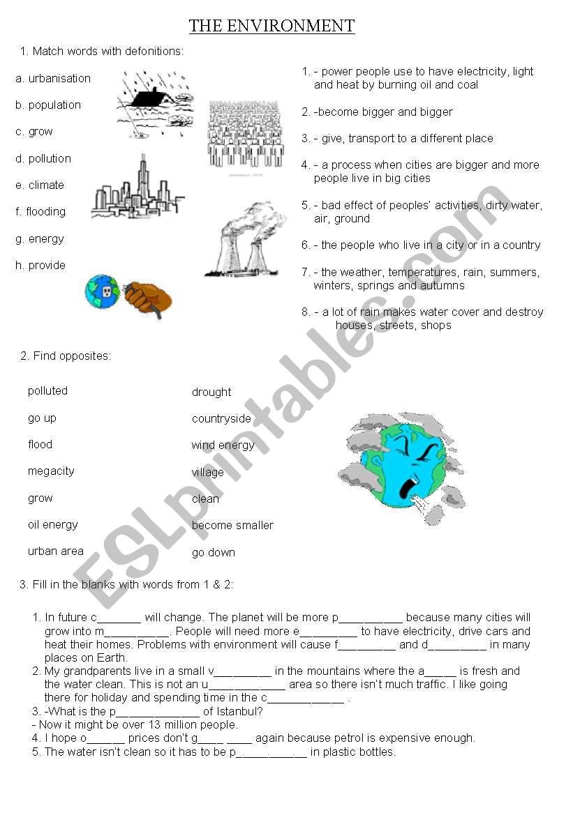 The Environment worksheet