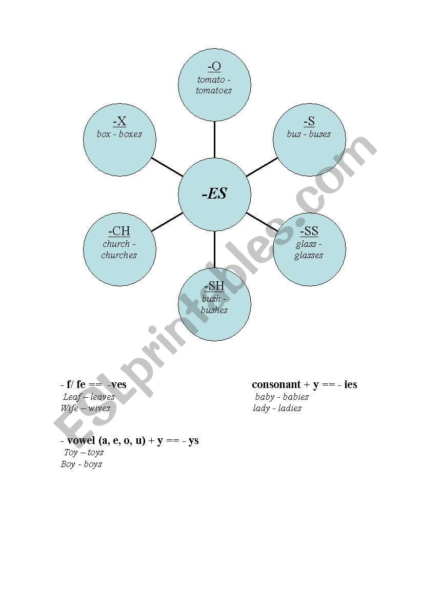 Plurals worksheet