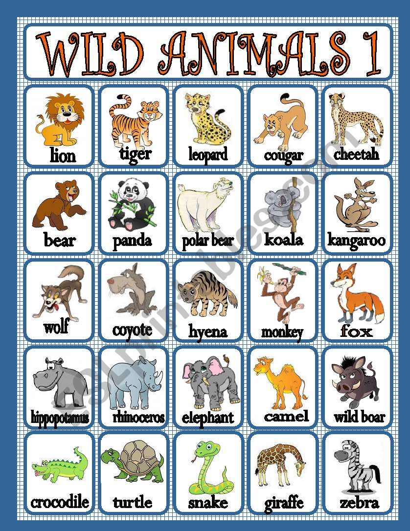wild animals 1 worksheet