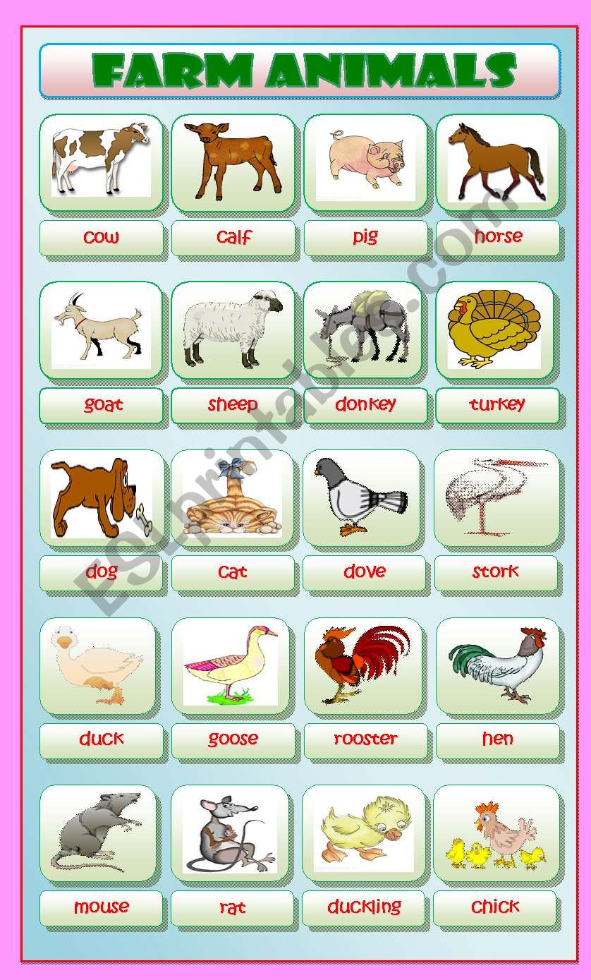 Farm Animals worksheet