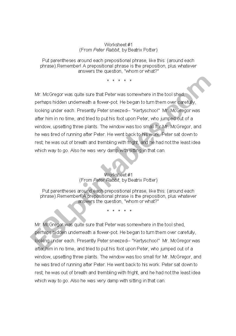 Preposition Worksheet worksheet
