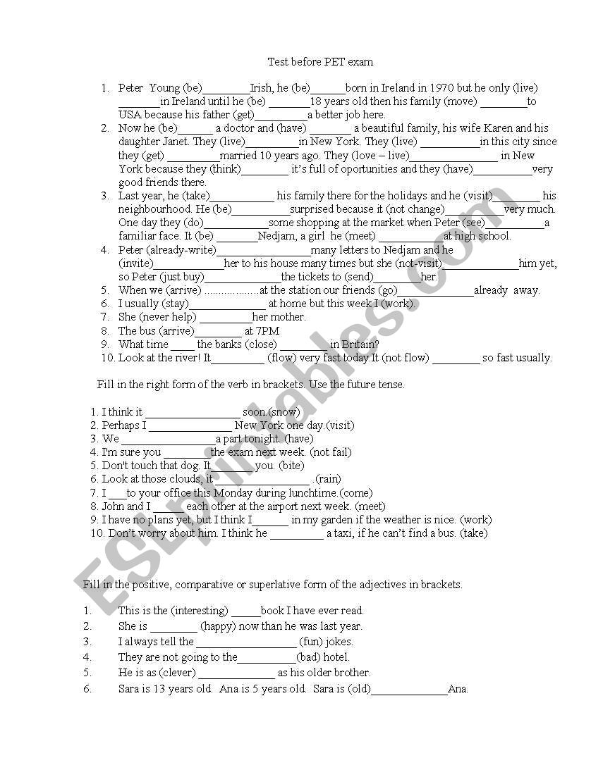 grammat test before PET exam worksheet