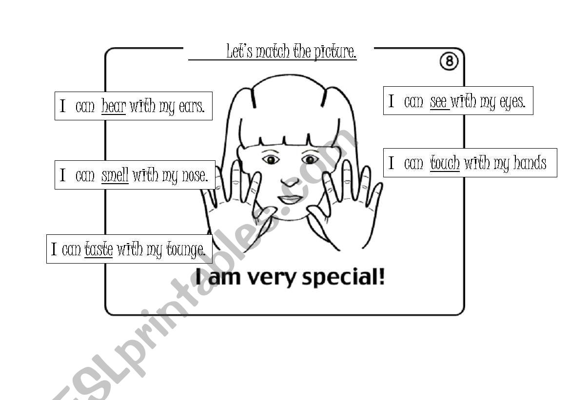 5 senses worksheet