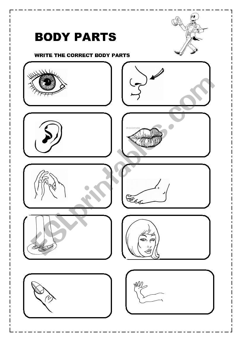 BODY worksheet