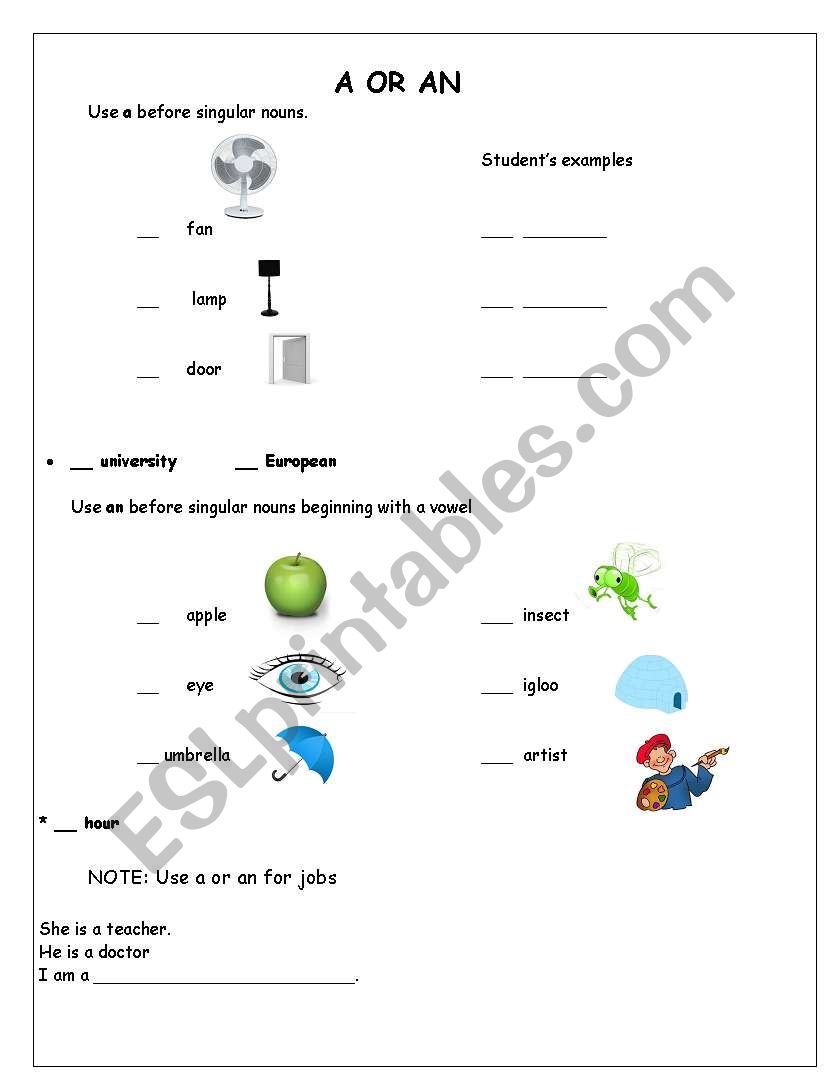 Using a /an worksheet