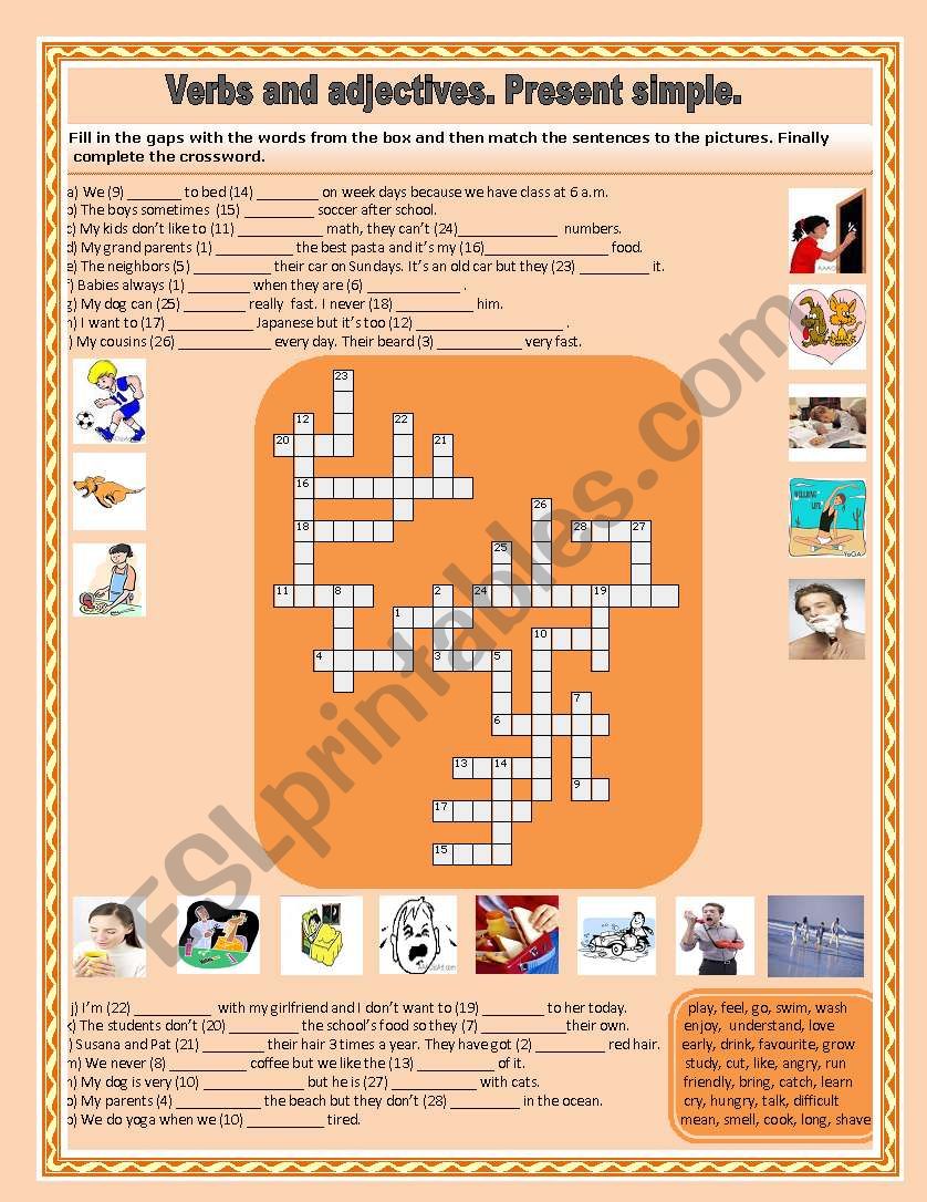 Verbs and adjectives. Present simple