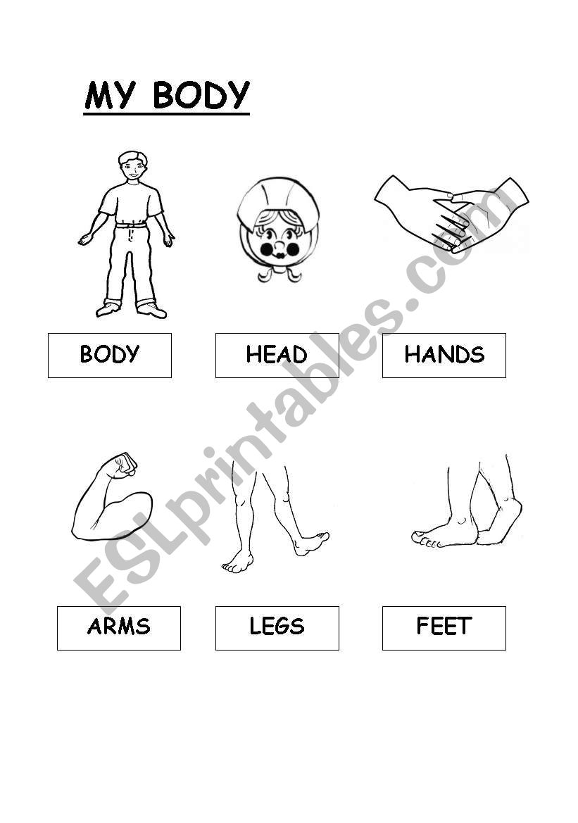 My Body Vocabulary worksheet