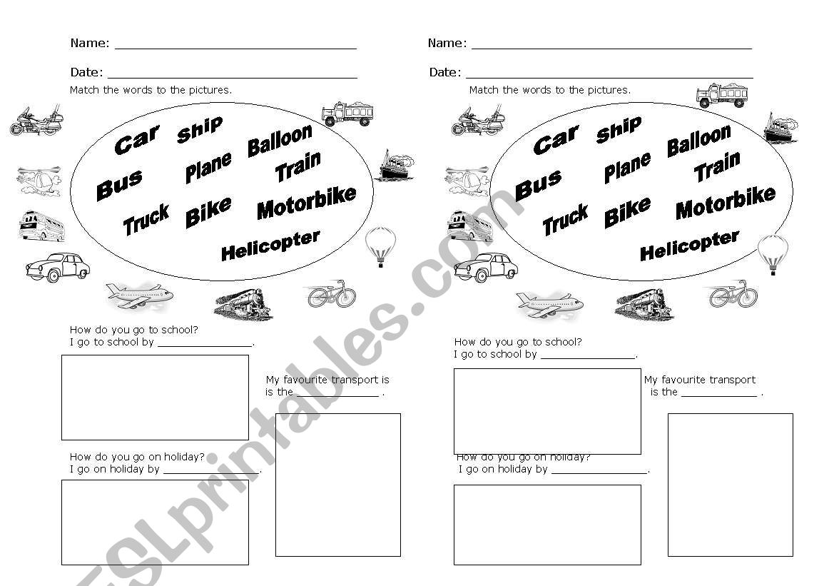 Transports Worksheet worksheet
