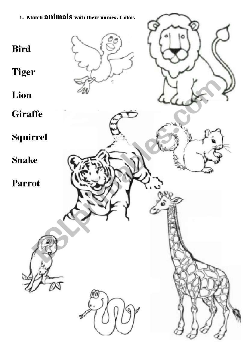 Animals. Match and color. worksheet