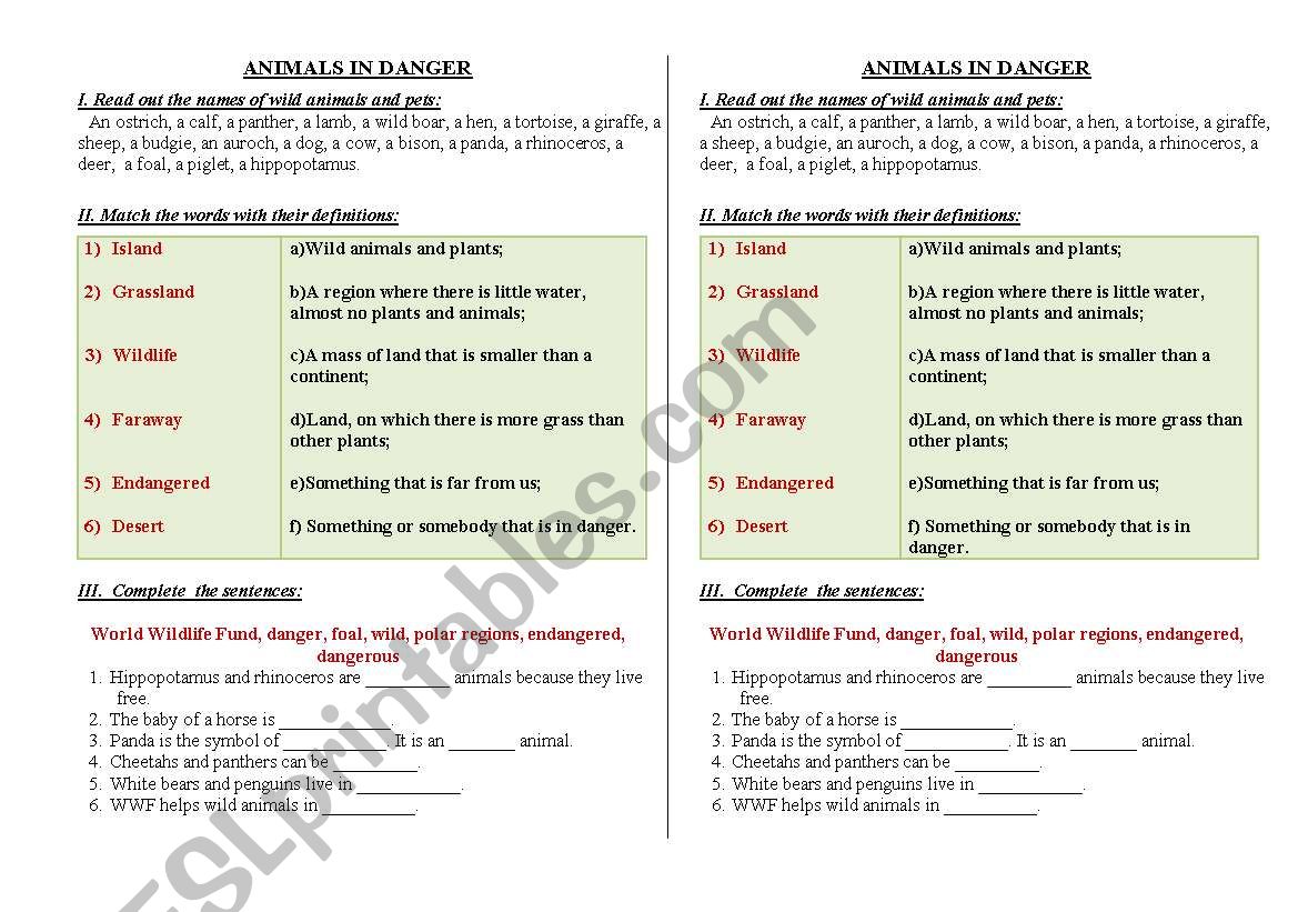 Animals in Danger worksheet
