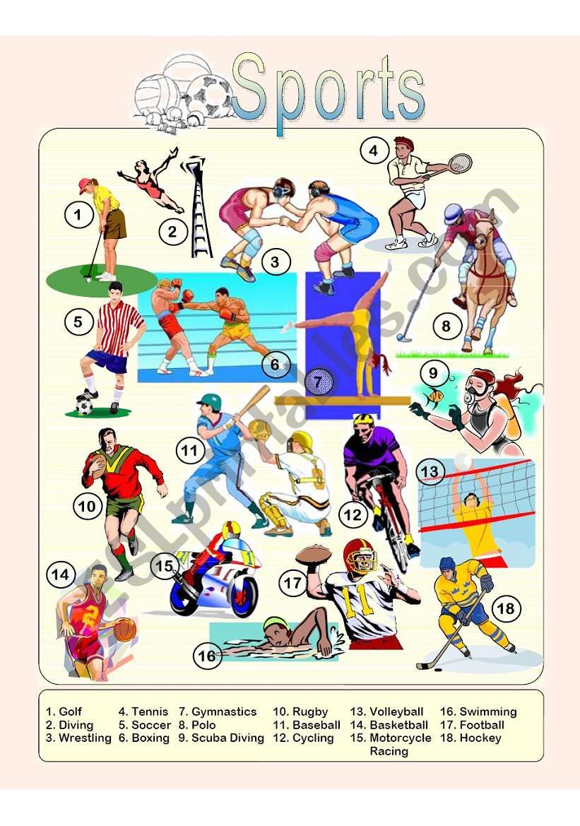 Sports - Picture Dictionary worksheet