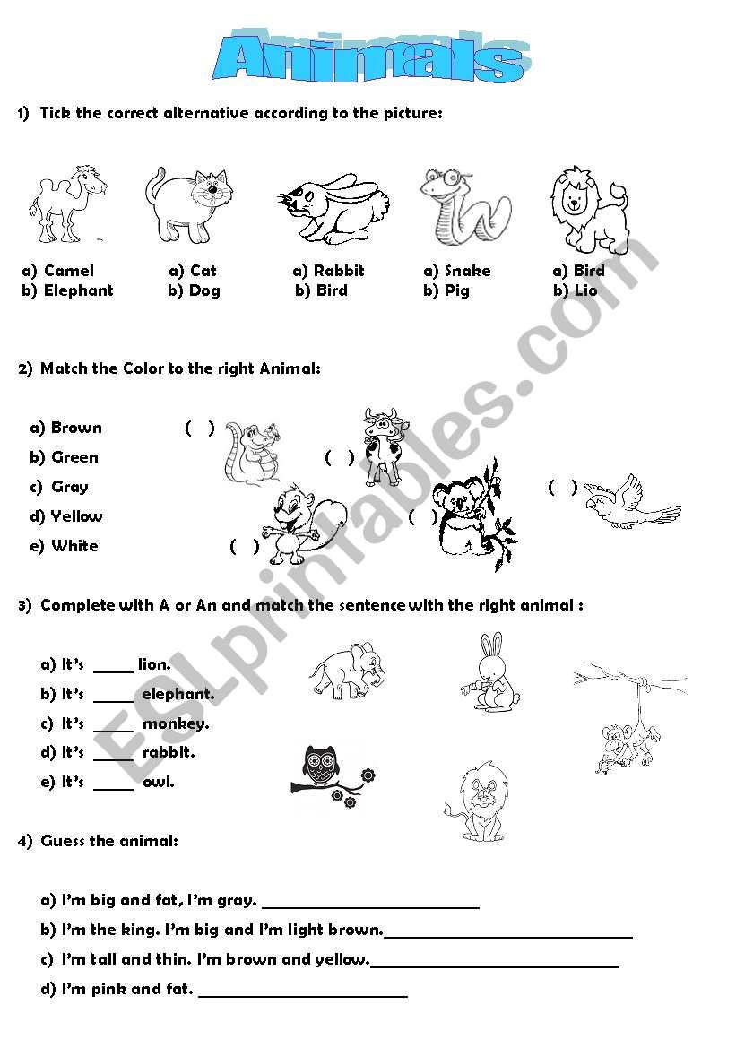 _Animals_ exercises worksheet