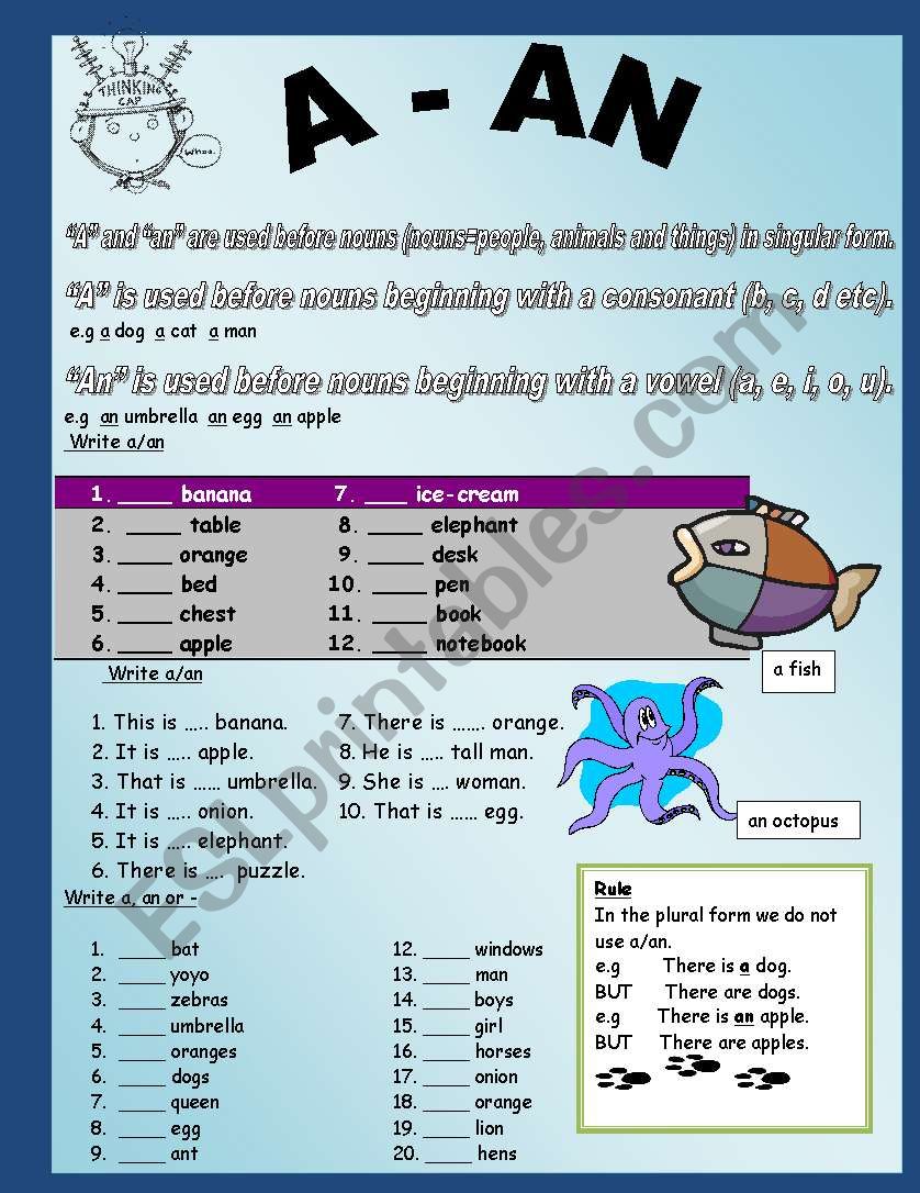 indefinite articles a/an worksheet