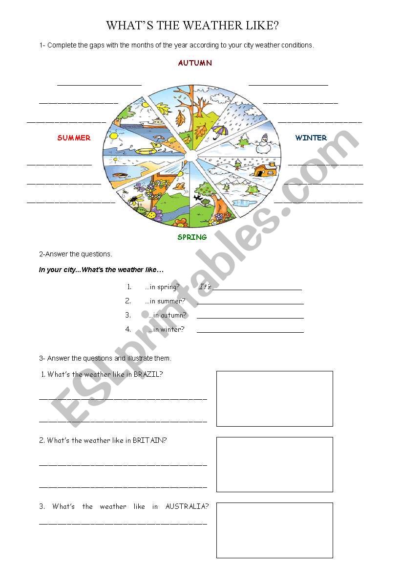 WHATS THE WEATHER LIKE? worksheet