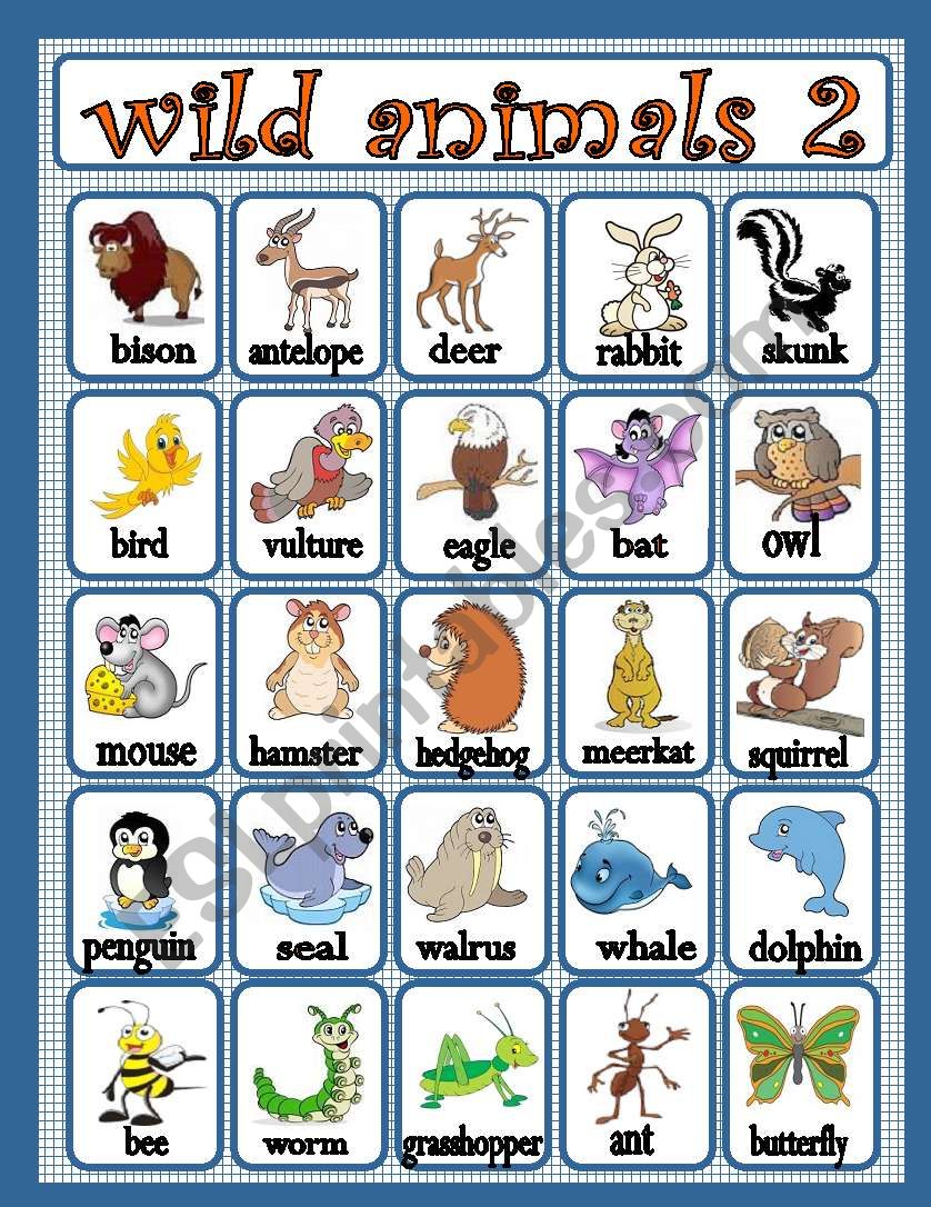 wild animals 2 worksheet