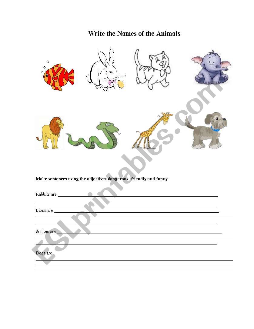 Animal description worksheet