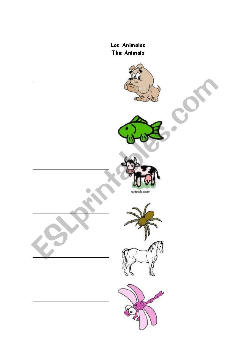 Animals worksheet