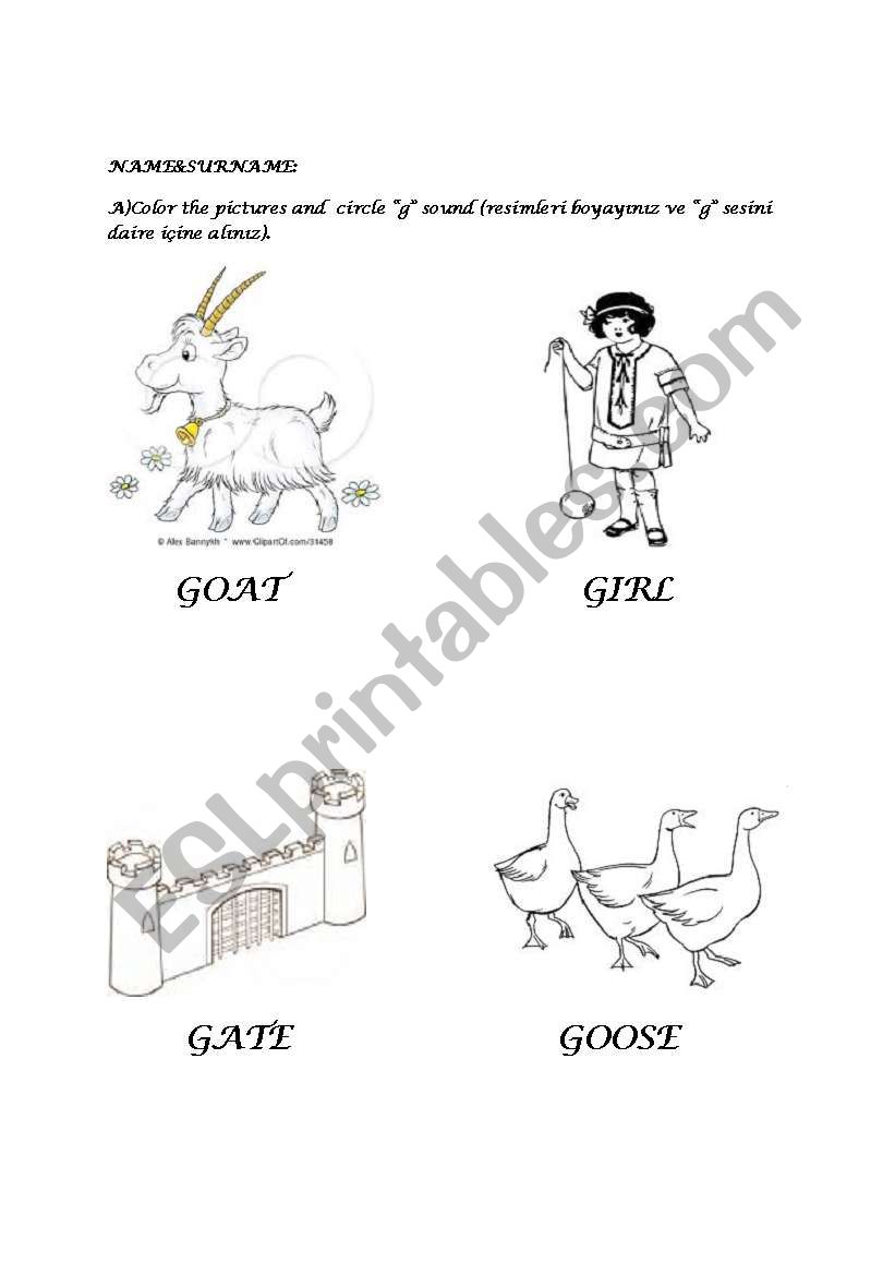 five senses worksheet