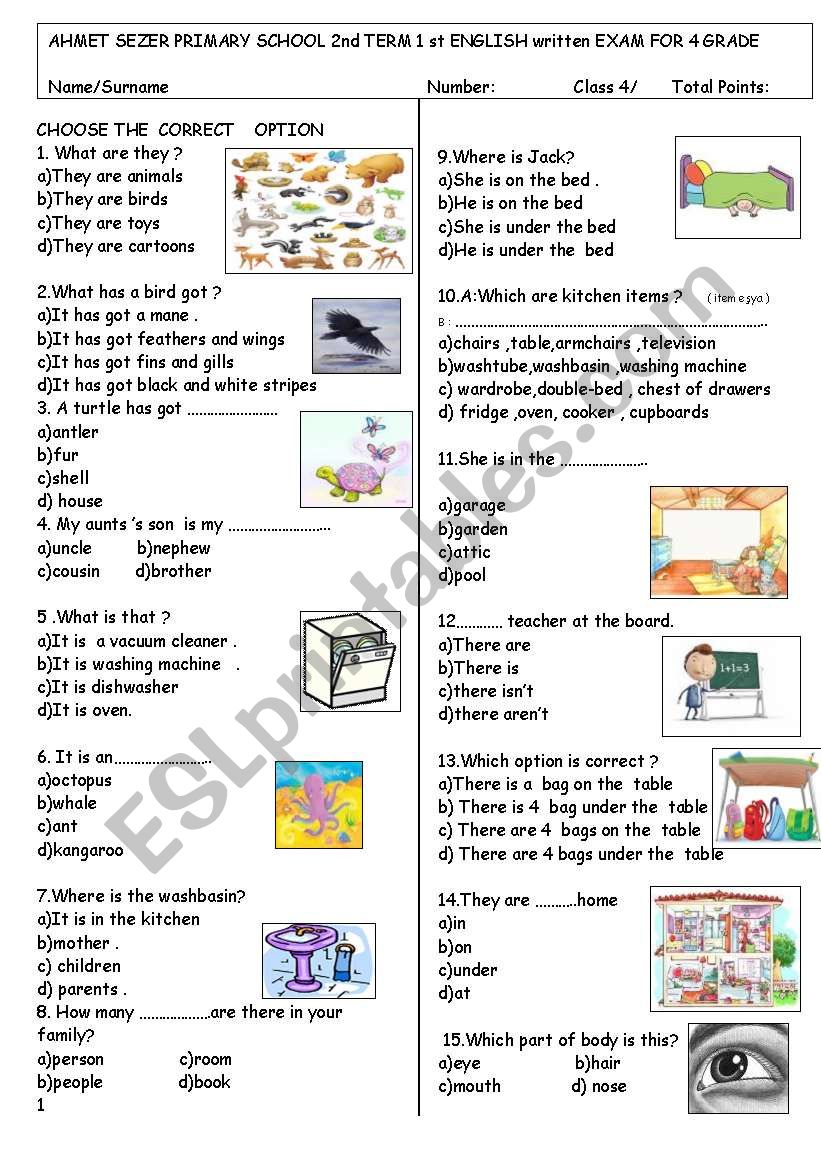 Test for beginners worksheet