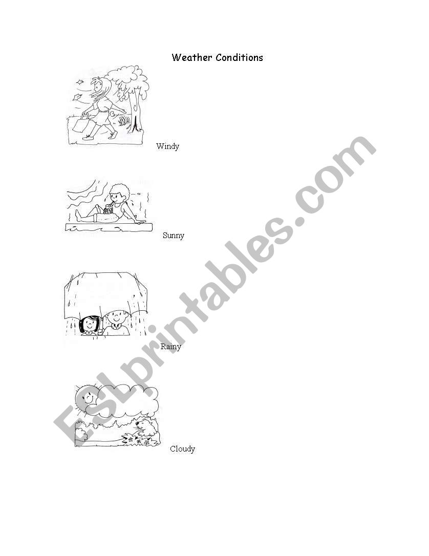  Weather Conditions worksheet