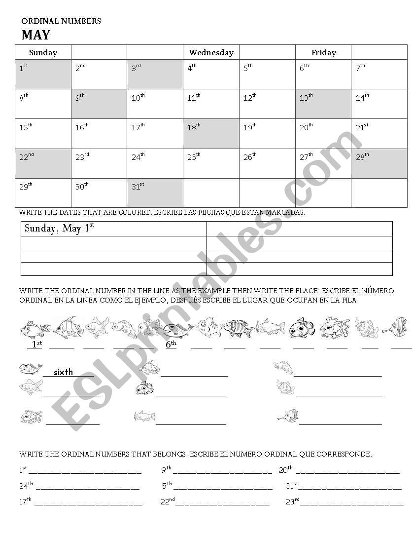 ORDINAL NUMBERS worksheet