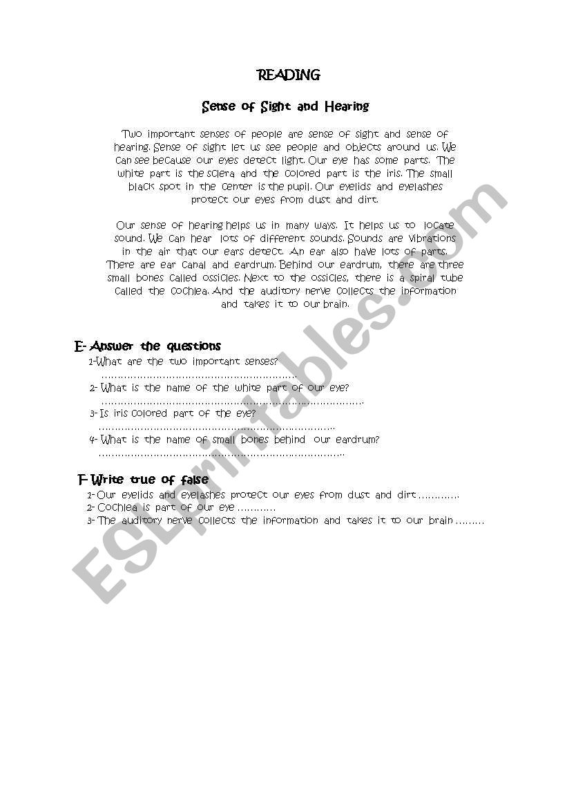 sense of sight and hearing worksheet