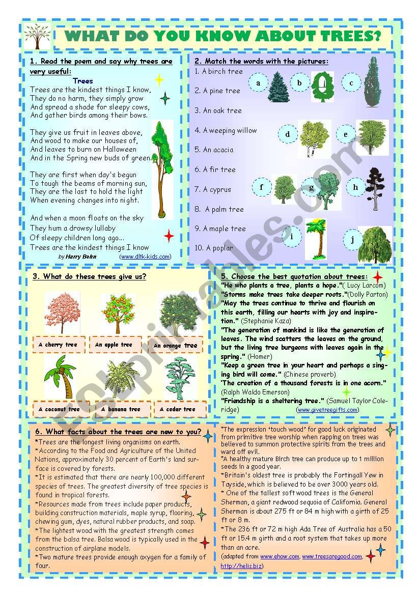 What Do You Know About Trees? worksheet