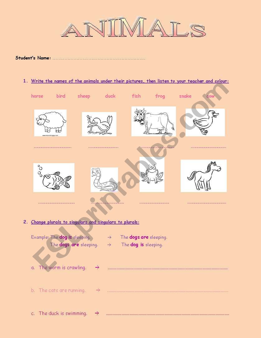 Animals Test worksheet