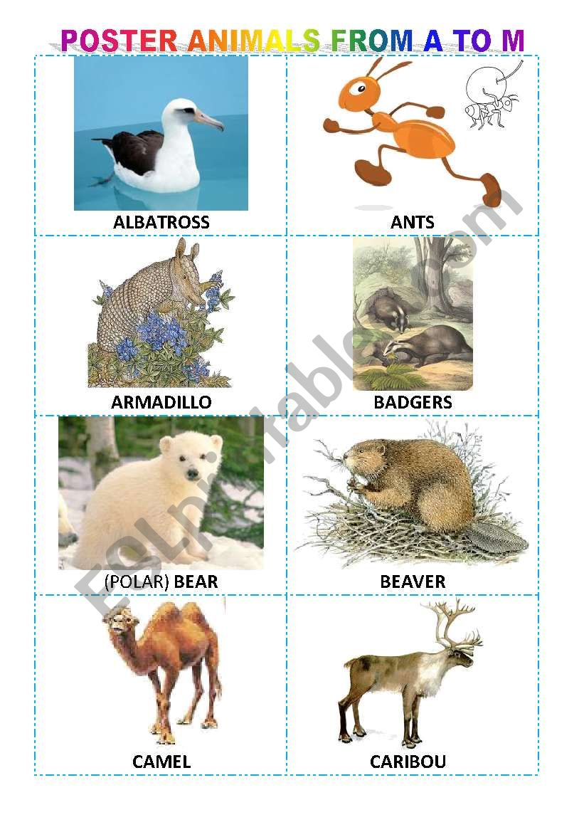 Alphabetical poster of animals from A to M + exercises + game - ESL  worksheet by maryse peyé