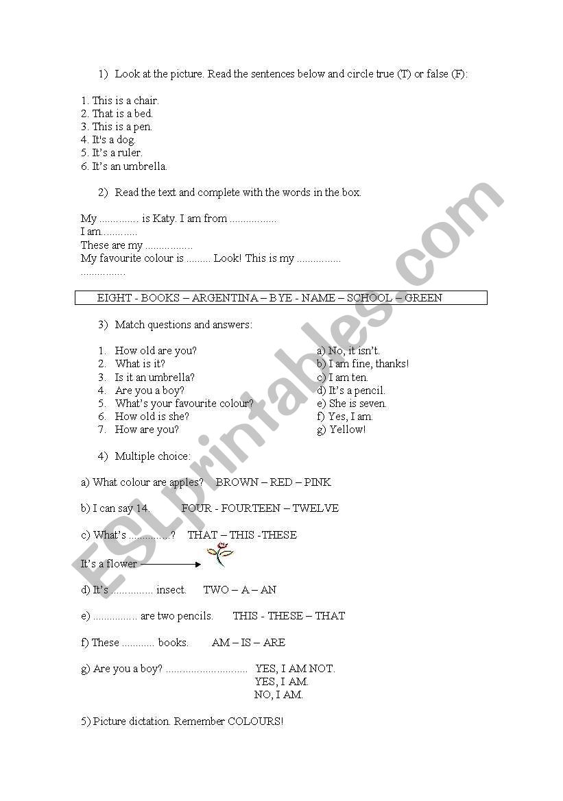 Test for Beginner Kids worksheet