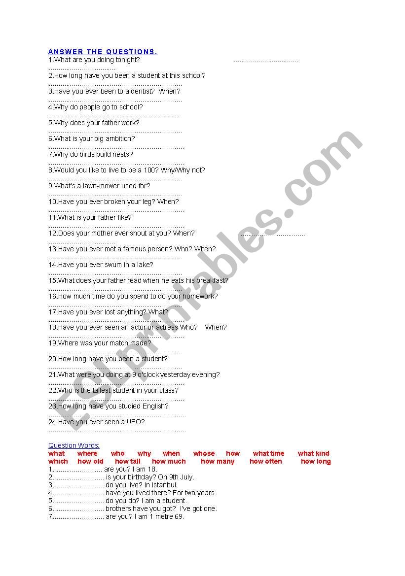 grammar revision worksheet