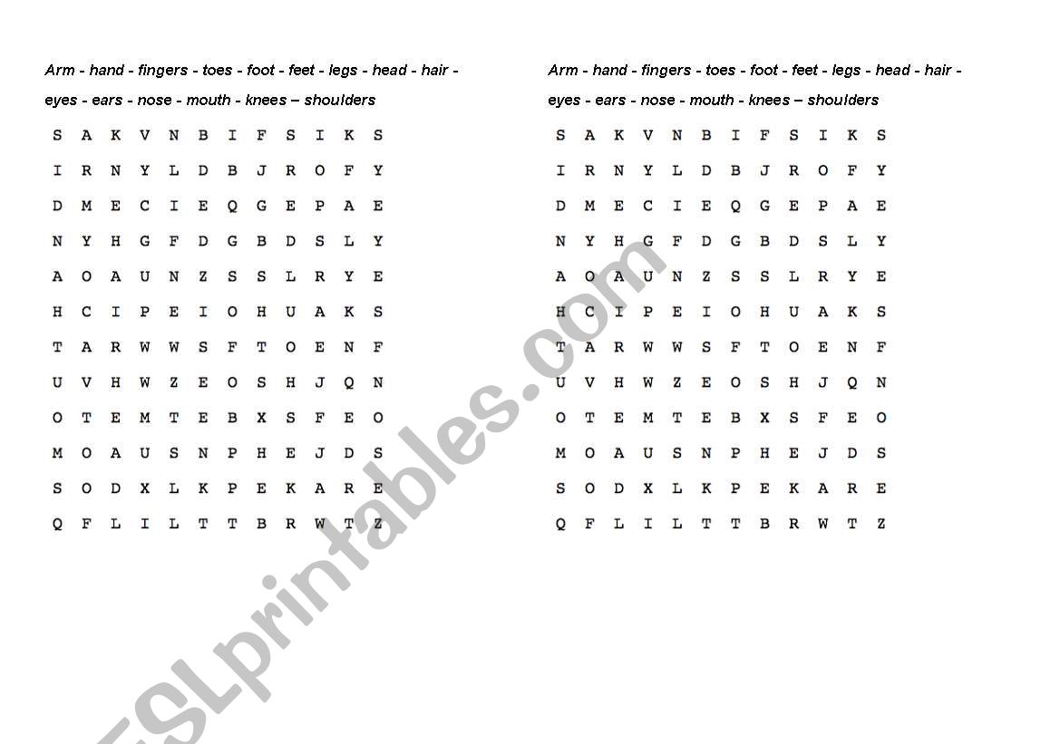 Body word search worksheet