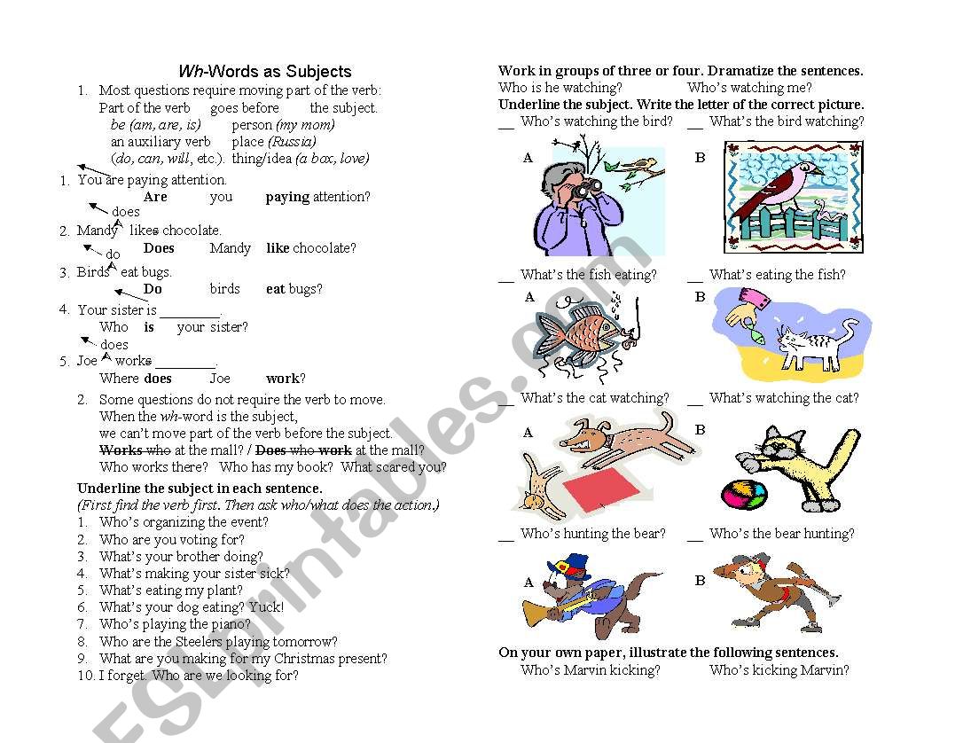 Wh-Words as Subjects worksheet