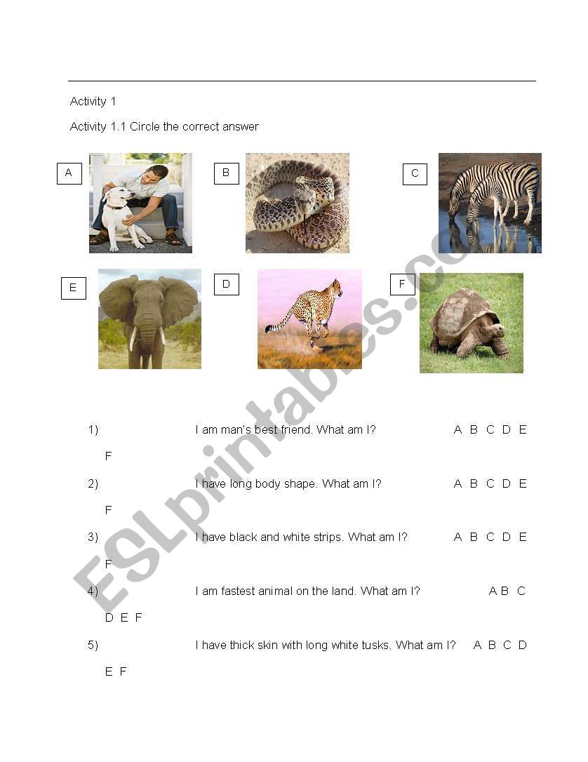 Practice Stage Stage Activity worksheet