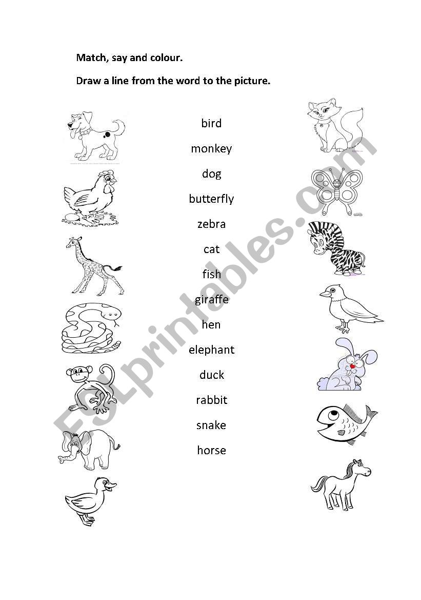 matchin animals worksheet