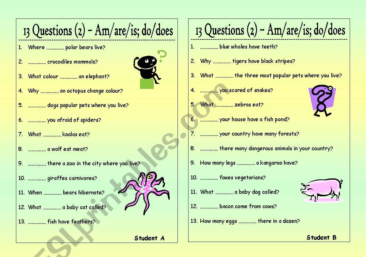 13 Questions (2): Am/are/is - do/does