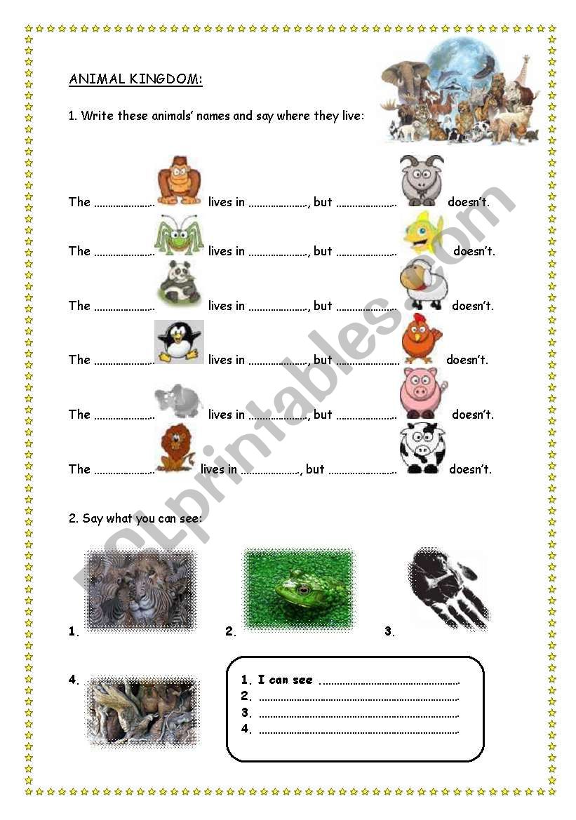 ANIMAL KINGDOM worksheet