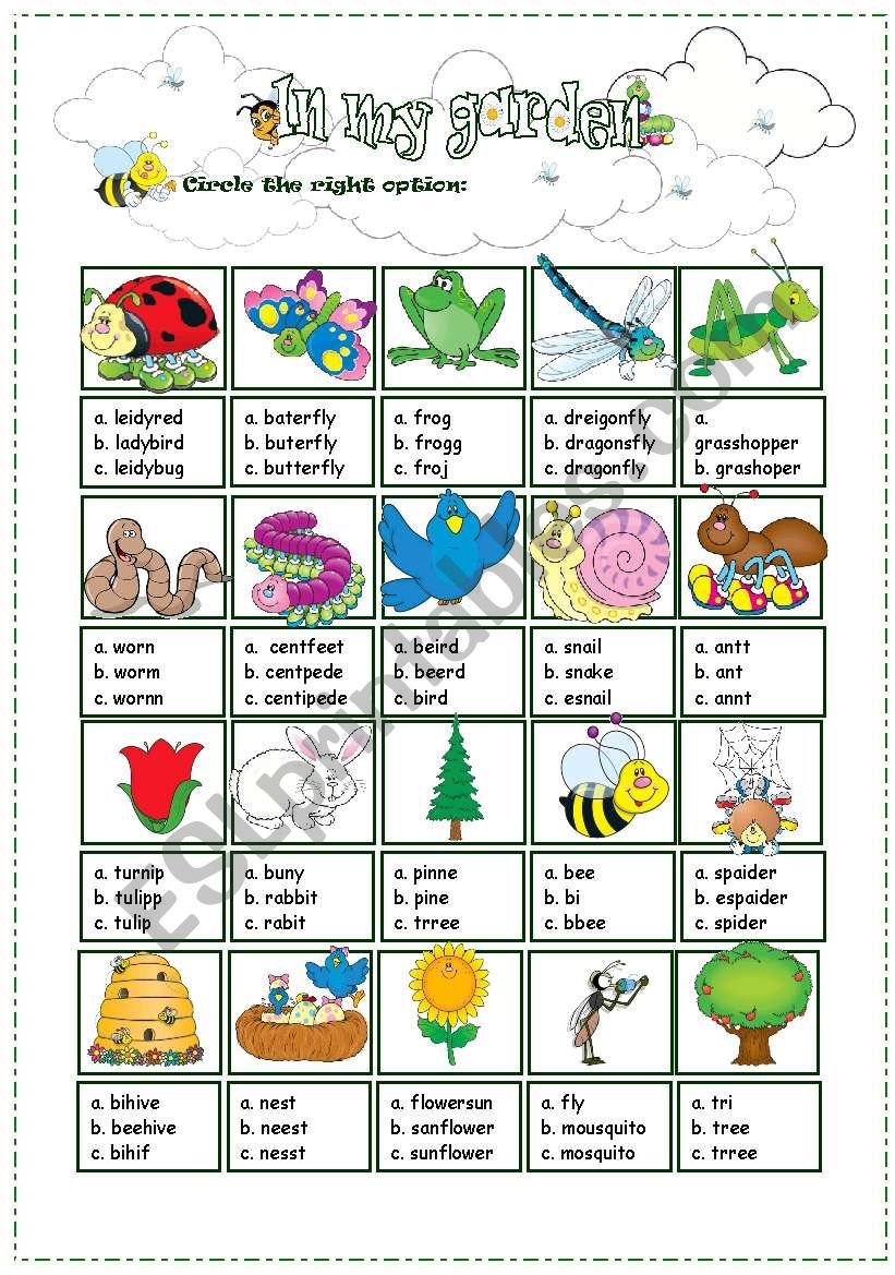 Mutiple choice exercise about spring (insects + garden)