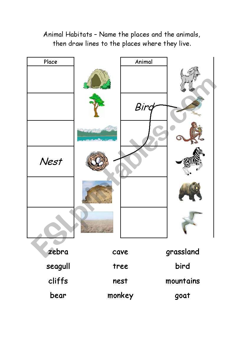 Animal Habitats 1 worksheet