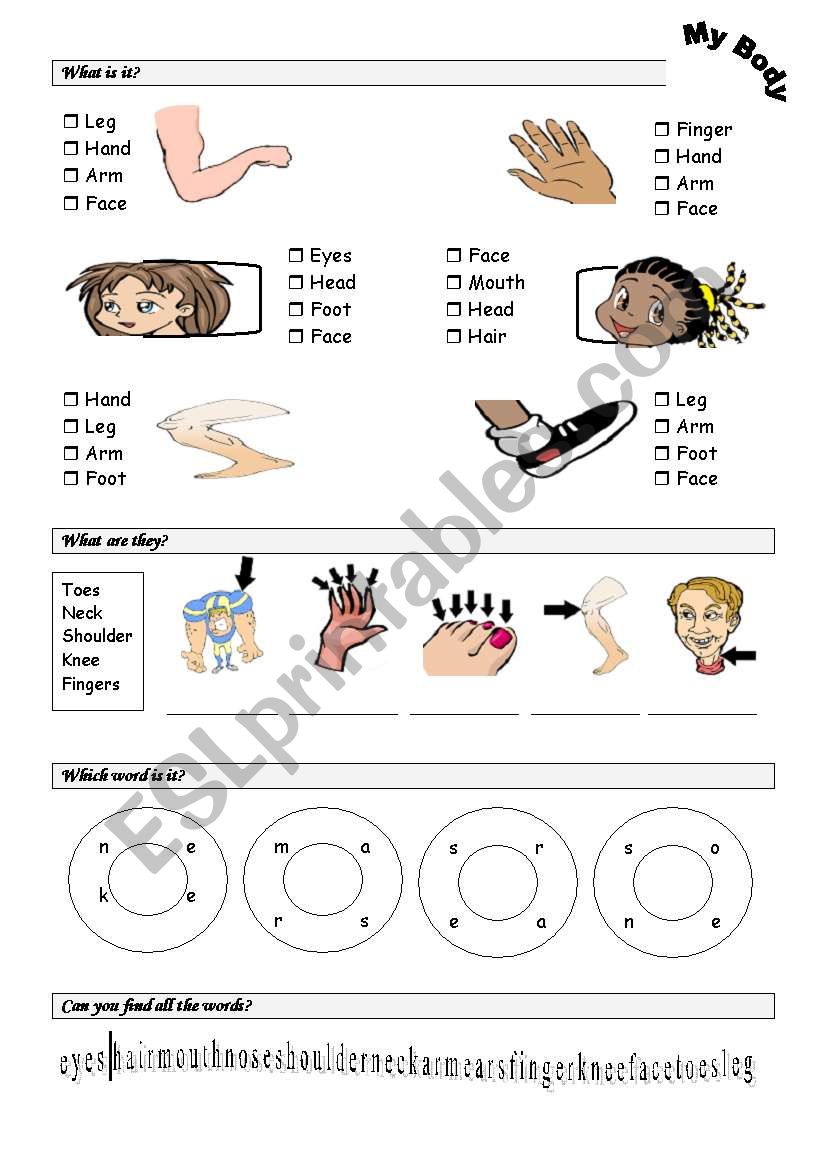 body parts worksheet