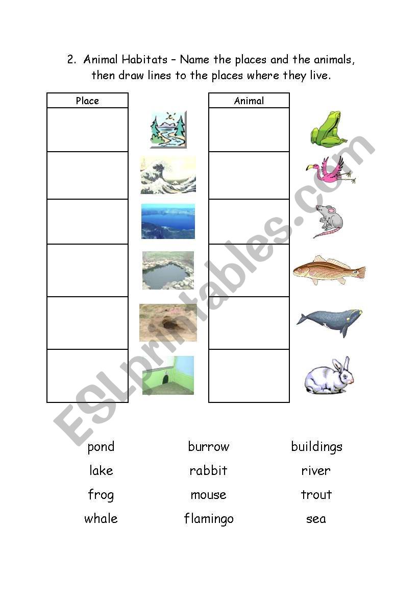 Animal Habitats 2 - ESL worksheet by Logos