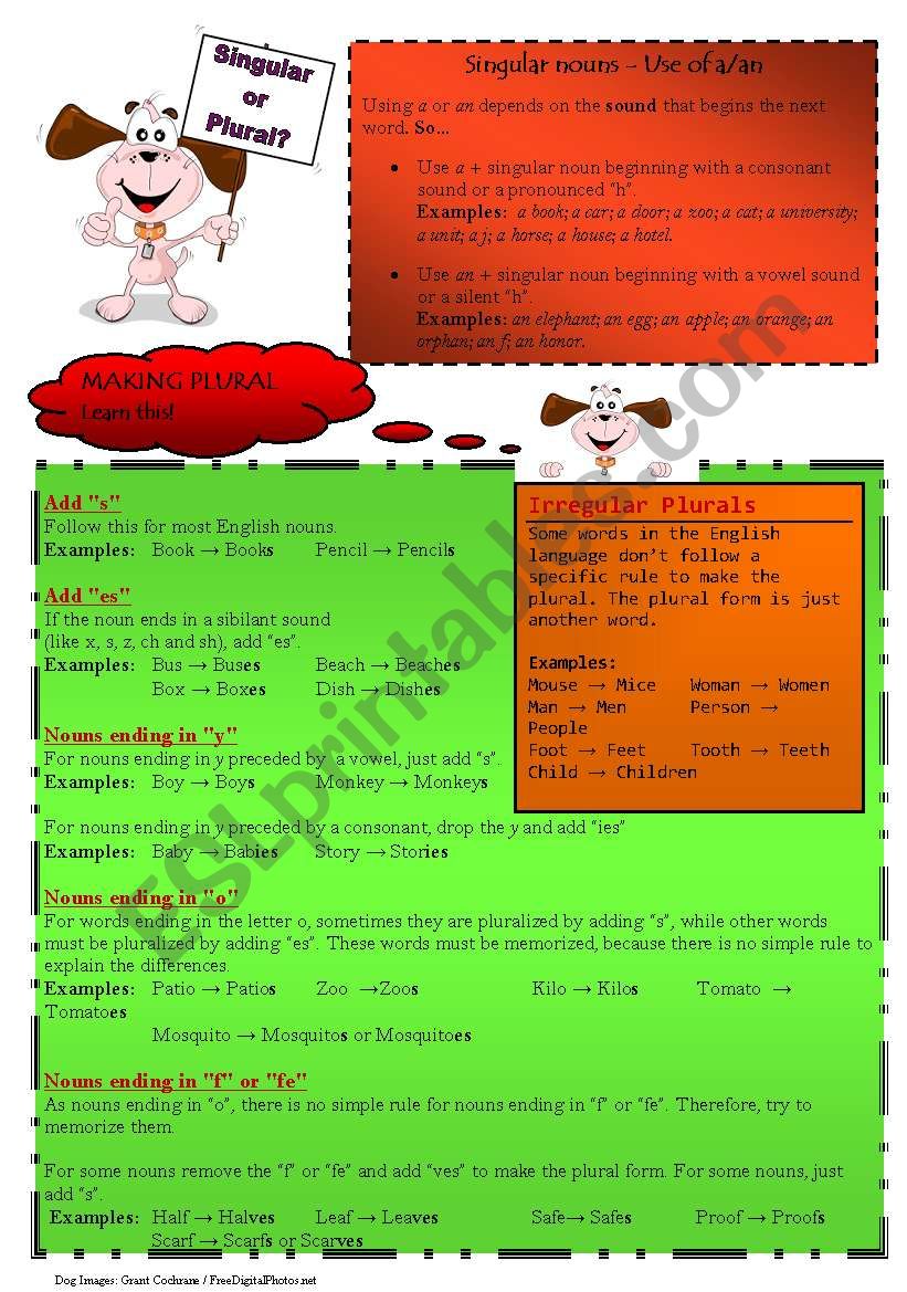 Use of a/an, making plural worksheet