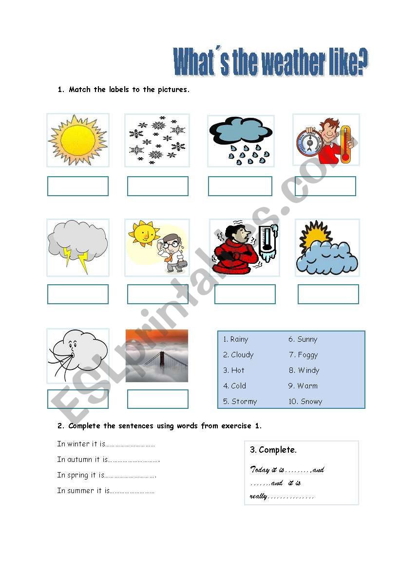 the weather worksheet