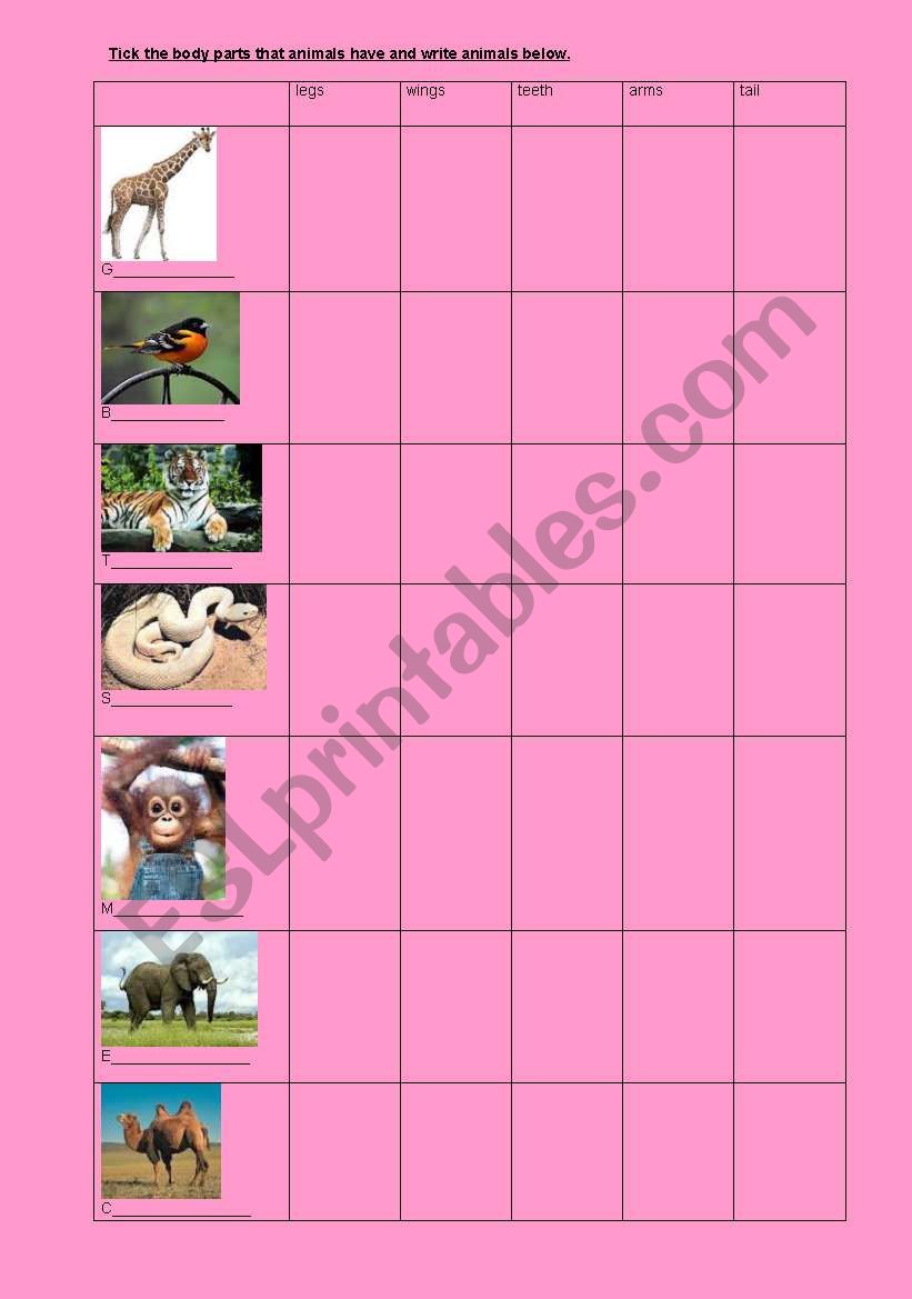 animals& has got& body parts worksheet