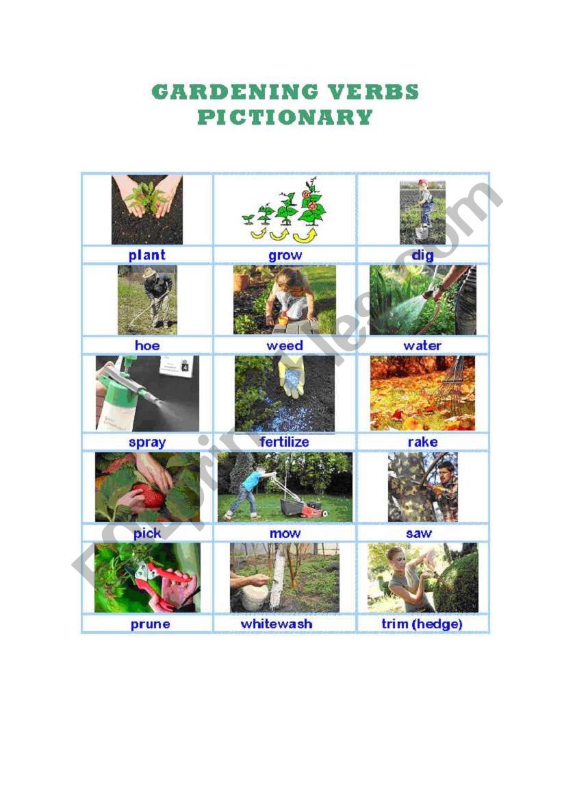 GARDENING VERBS PICTIONARY worksheet