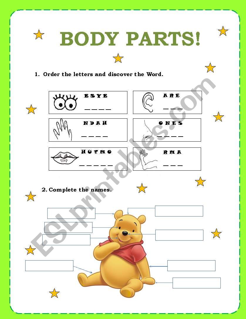 The Body worksheet