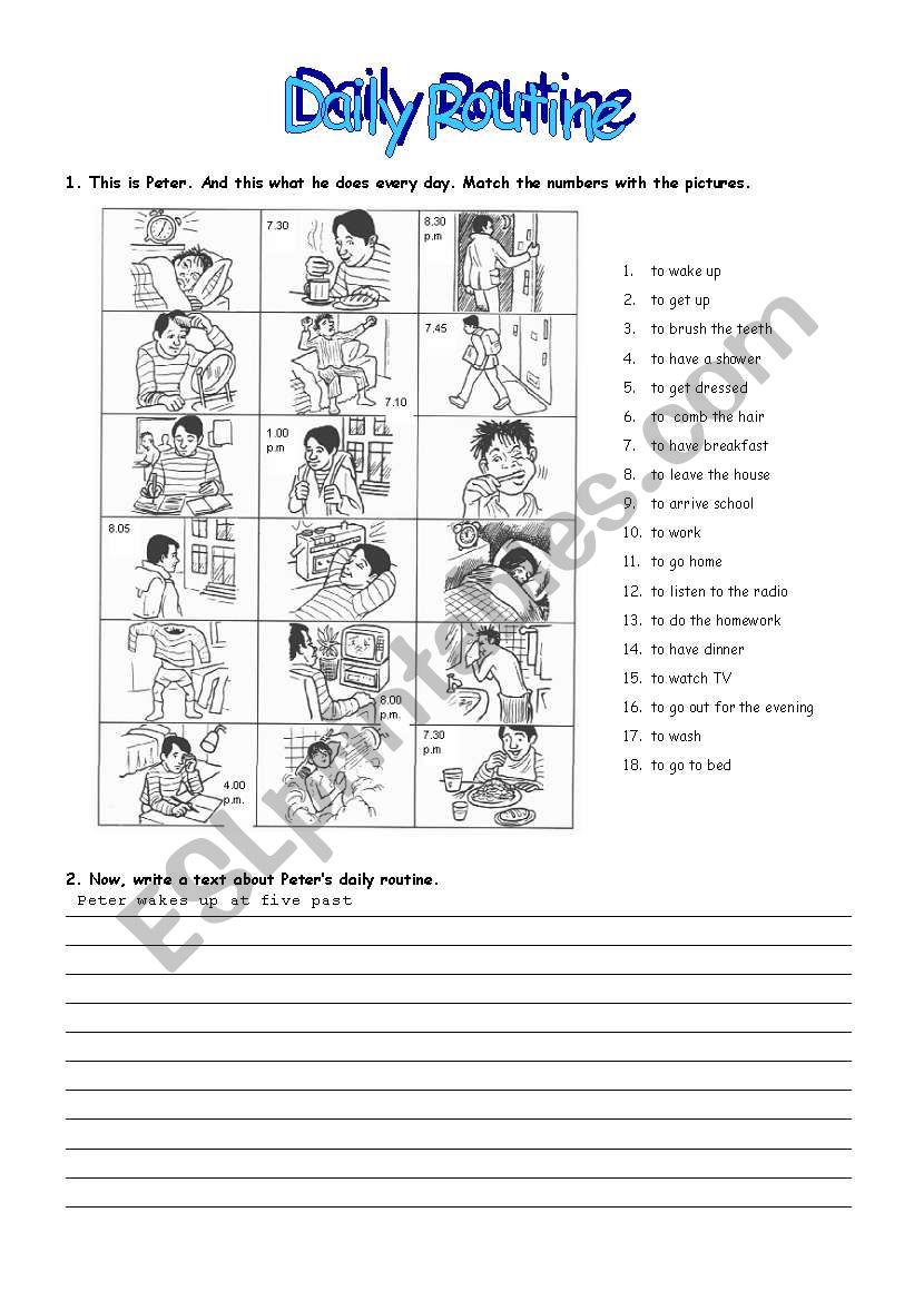 Daily Routine worksheet